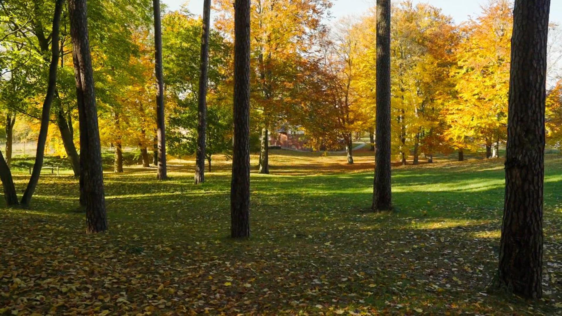 Parkresidenz Lychen, Ferienwohnung 4 Dış mekan fotoğraf